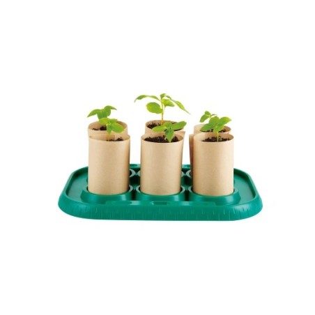 Invernadero de Cultivo Hape para Niños | Pedalinoshop.com